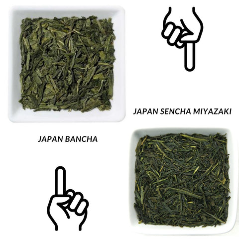 Was ist der Unterschied zwischen Sencha und Bancha Tee? - Teekränzchen