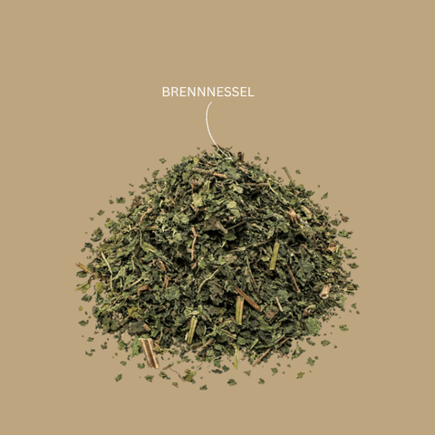 Brennnessel Kräutertee – Naturbelassenes Monokraut
