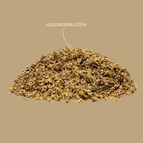 Kräutertee Holunderblüten 1