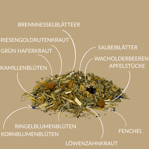 krautertee lebensfreude
