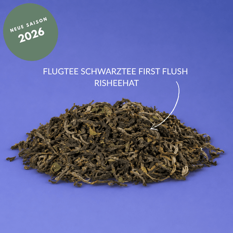 Flugtee_Schwarztee_Darjeeling_Rishehat
