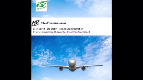 Schwarzer Tee Darjeeling SFTGFOP1 PUTTABONG DJ1 Flugtee 2024 - Teekränzchen