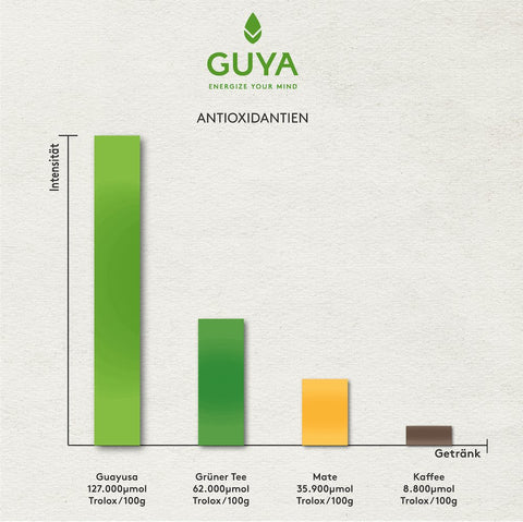 Guyausa-Tee-Orange-Mint-loser-Tee-100g-Teekränzchen