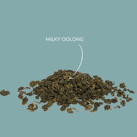 Halbfermentierter Tee „Milky Oolong“ - Teekränzchen