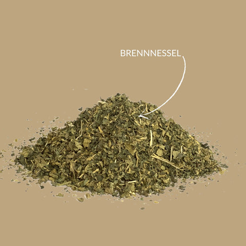 Kräutertee Brennnessel - Teekränzchen