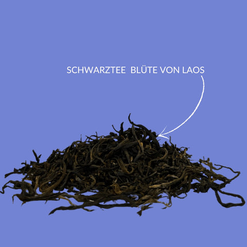 Schwarzer Tee "Blüte von Laos" - Teekränzchen