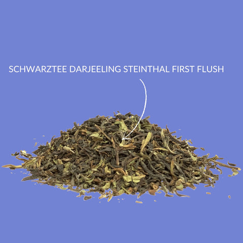 Schwarzer Tee „First Flush Darjeeling Steinthal Premium" - Teekränzchen