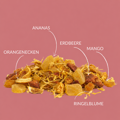 Früchtetee "Mango Mambo"  Fruchtig. Sommerlich.