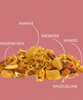 Fruchtig. Sommerlich. Unser Früchtetee Mango Mambo ist eine wahre Geschmacksexplosion
