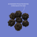 SCHWARZER PFINGSTROSENTEE 
CHINA BLACK MU DAN 