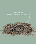 Weisser Tee Assam Gingia Silver Sprout