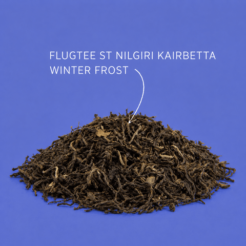 Schwarztee Flugtee "Nilgiri Kairbetta Winter Frost"