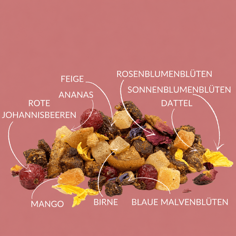 Früchtetee „Birnengarten® Havelländer Gedicht“ 