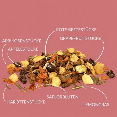 Früchtetee “Vitamin Quelle" NEU mild natürlich - 