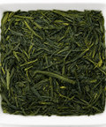 Grüner Tee „Japan Sencha Miyazaki“ 