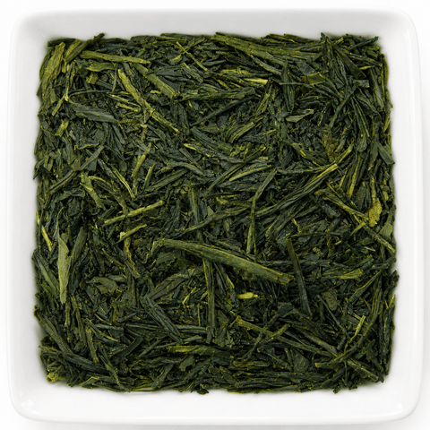 Grüner Tee „Japan Sencha Miyazaki“ 