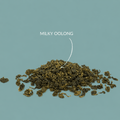 Halbfermentierter Tee „Milky Oolong“
