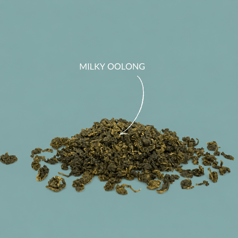 Halbfermentierter Tee „Milky Oolong“