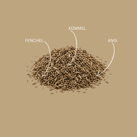 Kräutertee Anis Kümmel Fenchel