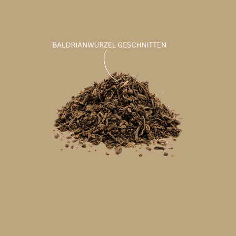 Kräutertee „Baldrianwurzel" geschnitten