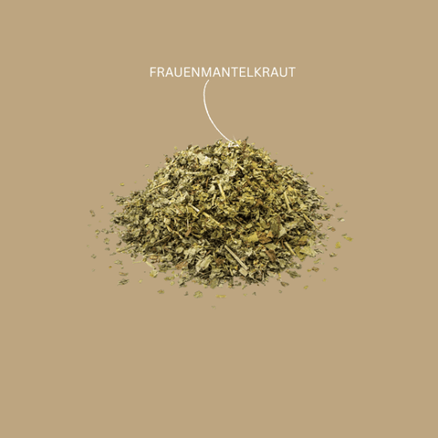 Kräutertee „Frauenmantelkraut"