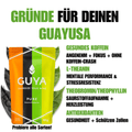 Guayusa Tee - Vanilla Vibe