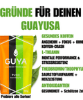 Guayusa Tee - Vanilla Vibe