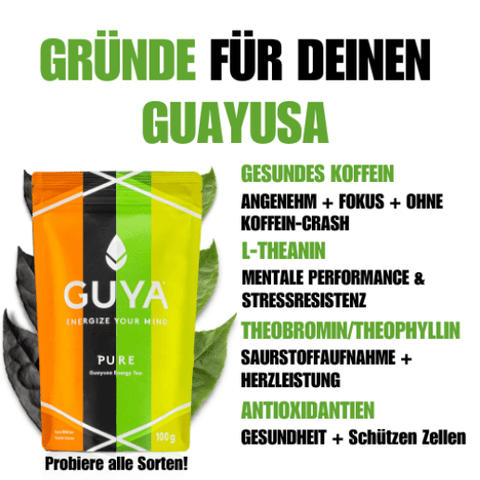 Guayusa Tee - Vanilla Vibe