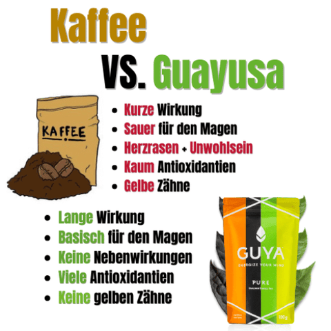 Guayusa Tee - Vanilla Vibe