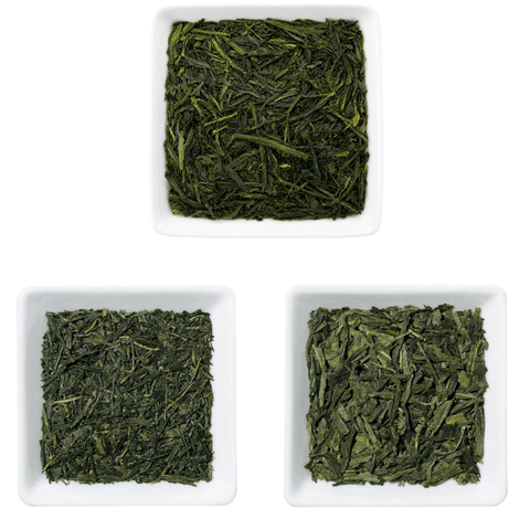 Mizudashi Starter Bundle