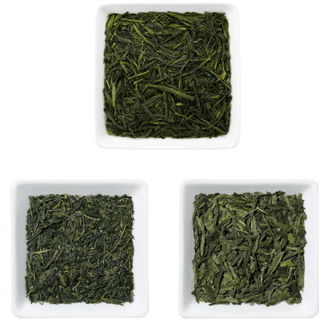 Mizudashi Starter Bundle