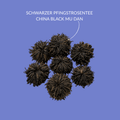 SCHWARZER PFINGSTROSENTEE 
CHINA BLACK MU DAN 
