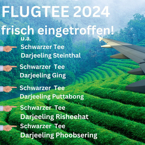 Schwarzer Tee Darjeeling FTGFOP1 Ging DJ 1 Flugtee 2024 - Teekränzchen