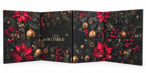 Tee-Adventskalender – 24-Pyramidenbeutel-mit-24-Teesorten