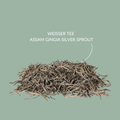 Weisser Tee Assam Gingia Silver Sprout