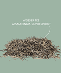 Weisser Tee Assam Gingia Silver Sprout