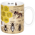 Wissensbecher "BIENEN" - Teekränzchen