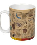 Wissensbecher "Evolution" - Teekränzchen