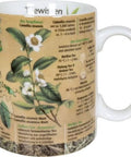Wissensbecher "Teewissen" - Teekränzchen