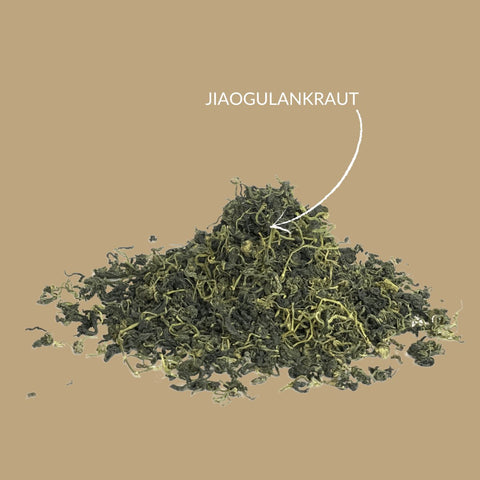 Jiaogulan - Teekränzchen