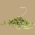 Kräutertee Eisenkraut (Verbene) - Teekränzchen