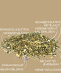 Kräutertee „Jungbrunnentee®“ - Teekränzchen