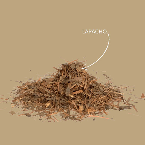 Kräutertee „Lapacho“ - Teekränzchen