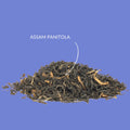 Schwarzer Tee "Assam Panitola FTGFOP1" - Teekränzchen