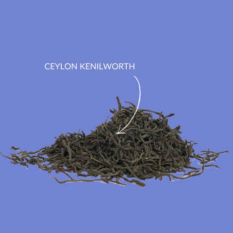Schwarzer Tee „Ceylon OP Kenilworth“ - Teekränzchen