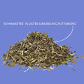 Schwarzer Tee Darjeeling First Flush PUTTABONG DJ1 Flugtee 2023 - Teekränzchen