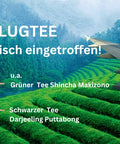Schwarzer Tee Darjeeling Flugtee first flush FTGFOP1 Millikthong DJ4/2023 - Teekränzchen
