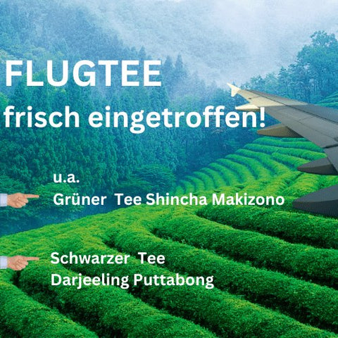 Schwarzer Tee Darjeeling Flugtee first flush FTGFOP1 Millikthong DJ4/2023 - Teekränzchen