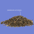 Schwarzer Tee „Darjeeling GFOP Autumnal“ - Teekränzchen