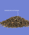 Schwarzer Tee „Darjeeling GFOP Autumnal“ - Teekränzchen